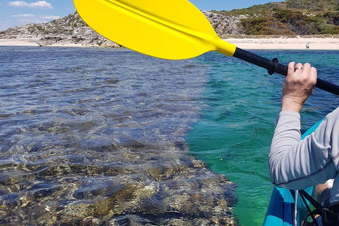 Rottnest Glass Bottom Kayaking Tour - eAccommodation 3