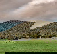 Baldwins Bluff Guided Hike - eAccommodation