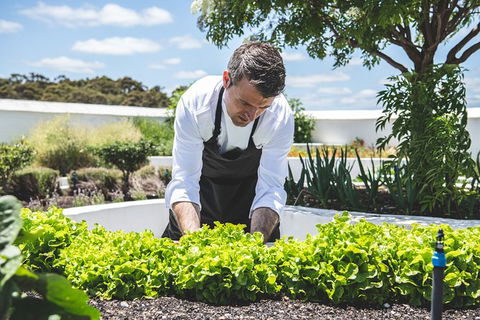 Voyager Estate: The Origins Tasting & 4 Or 7 Course Lunch - eAccommodation 4