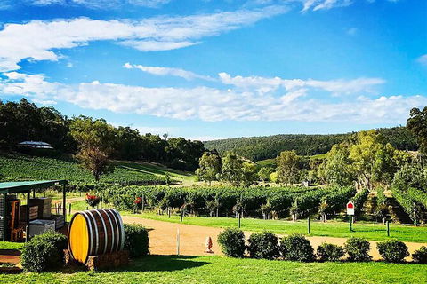 Bickley Valley Wine & Cider Tour - Premium Small Group Tour - eAccommodation 0