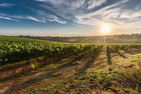Perth To Margaret River Wine Tour - 2 Day Premium Boutique Wine Tour Experience - eAccommodation 0