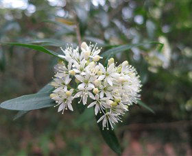 Booderee National Park - eAccommodation 0