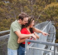 Valley of the Giants Tree Top Walk - eAccommodation