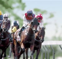 Colac Turf Club - eAccommodation