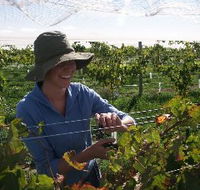 Kingsdale Wines - eAccommodation