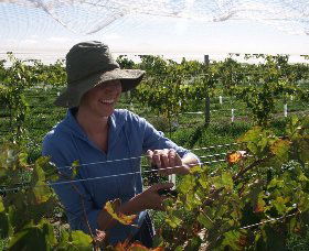 Kingsdale Wines - eAccommodation 0