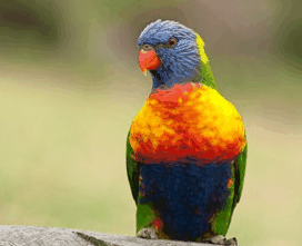 Booderee National Park - eAccommodation 1