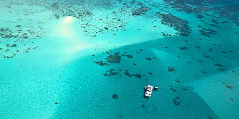 Ocean Free & Ocean Freedom - Cairns Premier Reef And Island Tours - eAccommodation 3