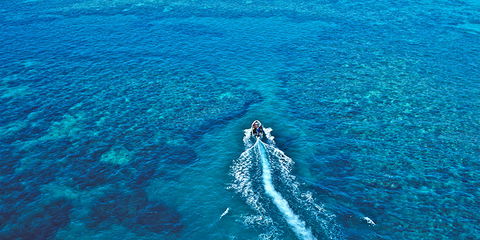 Ocean Free & Ocean Freedom - Cairns Premier Reef And Island Tours - eAccommodation 4