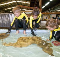 Australian Shark and Ray Centre - eAccommodation