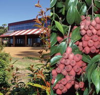 Bushfood Factory and Cafe - eAccommodation