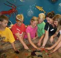 Naturaliste Marine Discovery Centre - eAccommodation
