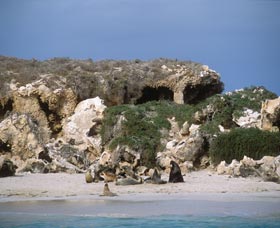 Jurien Bay Marine Park - eAccommodation 0