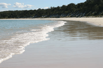 Dolphin Watch Cruises - eAccommodation 5