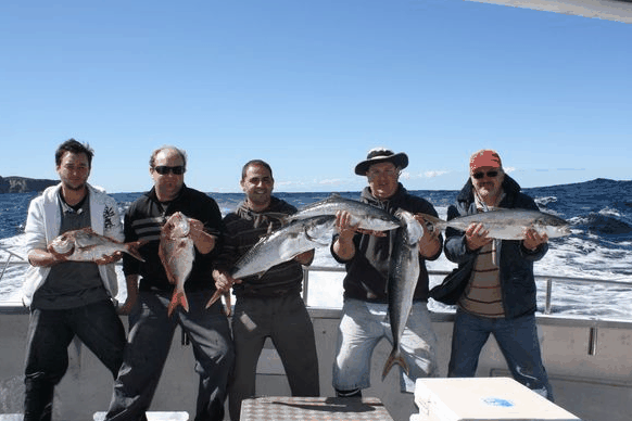 Jervis Bay Fishing And Charters - eAccommodation 2