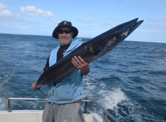 Jervis Bay Fishing And Charters - eAccommodation 4
