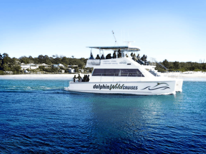Dolphin Wild Cruises - eAccommodation 1