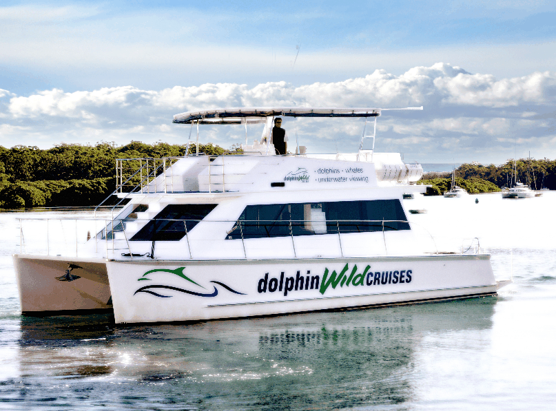 Dolphin Wild Cruises - eAccommodation 2