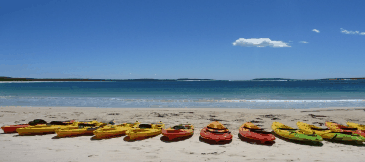 Jervis Bay Kayak & Paddlesports - eAccommodation 5