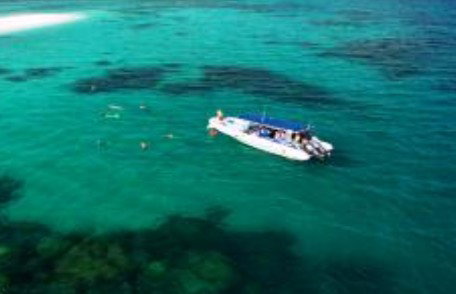 Ocean Safari - eAccommodation 1