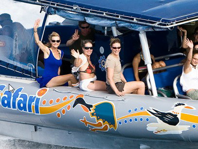 Ocean Safari - eAccommodation 3