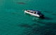 Ocean Safari - thumb 5