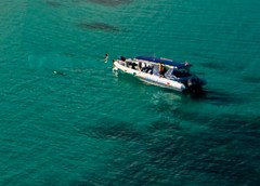 Ocean Safari - eAccommodation 5