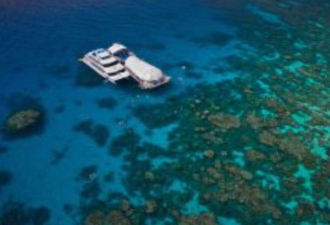 Great Adventures Reef And Green Island Cruises - eAccommodation 0