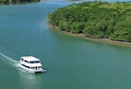 Cairns Harbour Cruises - eAccommodation 3