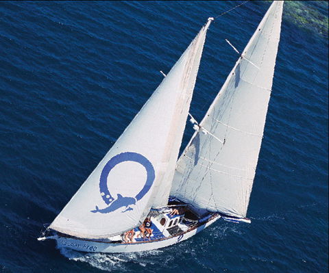 Ocean Free & Ocean Freedom - Cairns Premier Reef And Island Tours - eAccommodation 0