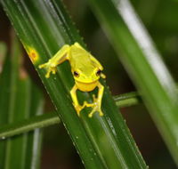 Daintree River Cruise Centre - eAccommodation