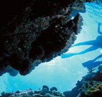 Deep Sea Divers Den - eAccommodation