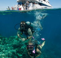 Down Under Cruise and Dive - eAccommodation