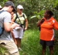 Ingan Tours - Spirit of the Rainforest Tour - eAccommodation