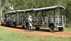 Whitsunday Crocodile Safari - eAccommodation 2