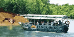 Whitsunday Crocodile Safari - eAccommodation 3