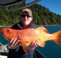 Gone Fishing by Coral Sea Fishing Charters Airlie Beach - eAccommodation