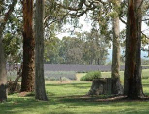 Greenlands QLD eAccommodation
