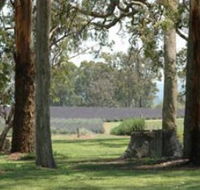 Aloomba Lavender - eAccommodation
