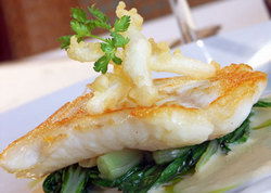 Australia Hotel - eAccommodation 2