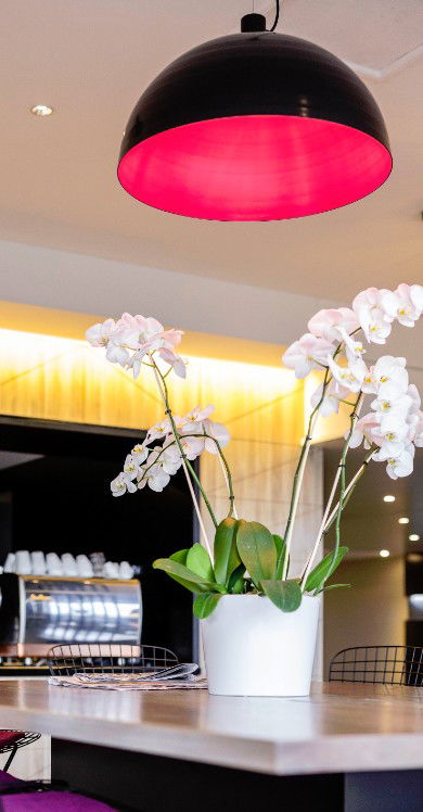 MRepublic Restaurant, Bar And Lounge - eAccommodation 4