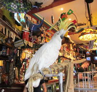 A Friend In Hand - eAccommodation