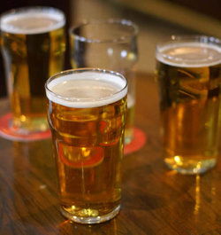 Plough Inn Hotel - eAccommodation 2