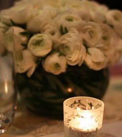 Chanterelle At Jessicas - eAccommodation 3