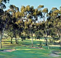 Tanunda Pines Golf Club - eAccommodation