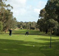 Mount Gambier Golf Club - eAccommodation