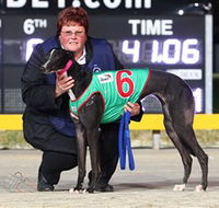 Bulli Greyhound Racing Club - eAccommodation