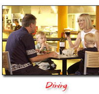 Steelers Club - eAccommodation