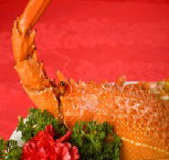 Marigold - eAccommodation