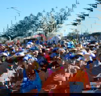 7 Sunshine Coast Marathon - eAccommodation